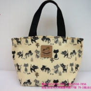 E-06 Insulated Bags