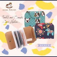 CA08 Folds and Snaps Card Holder